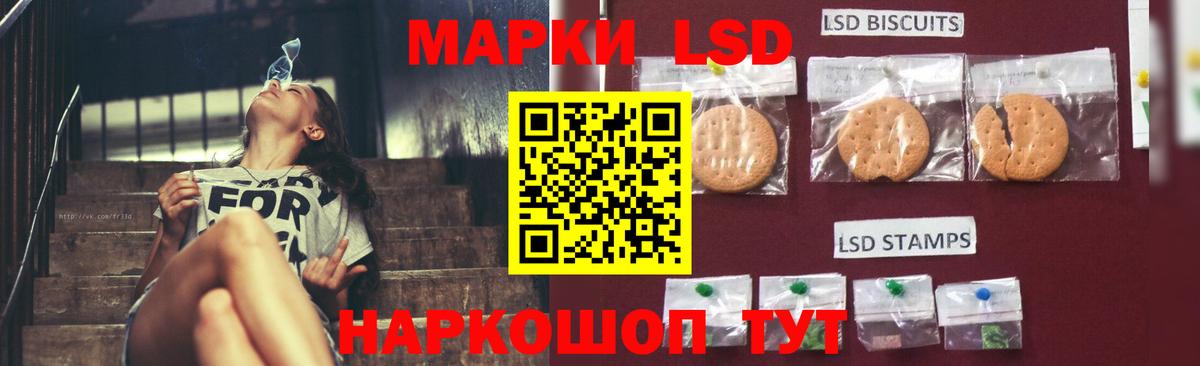 ЛСД экстази  Вход с VPN  Нововоронеж  LSD-25 экстази ecstasy  ЛСД экстази ecstasy 